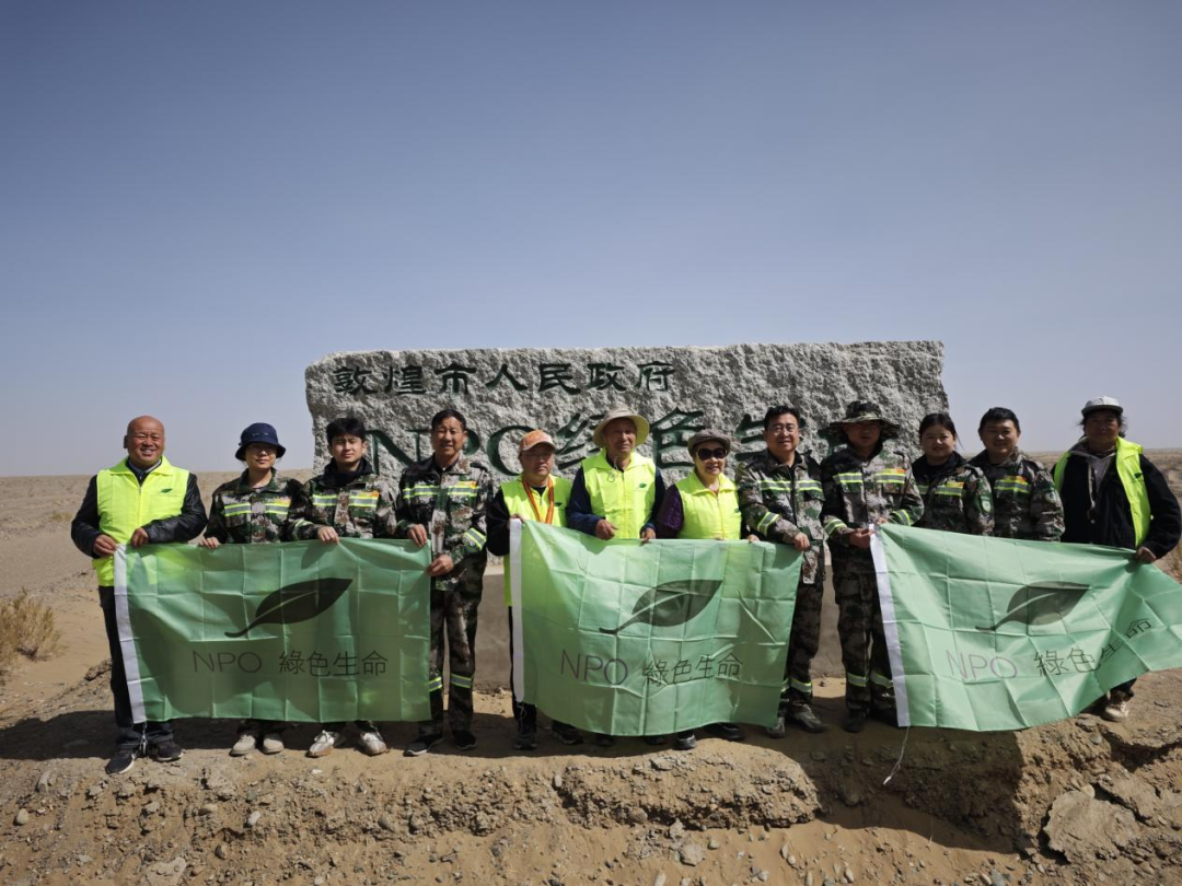 敦煌：公益植树添新绿 共筑生态新画卷